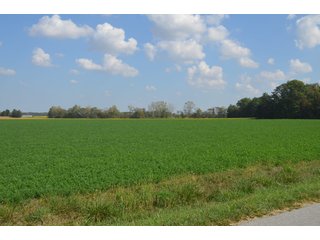 Property photo 52 - REAL ESTATE AUCTION - 604+/- ACRES IN 14 TRACTS IN MERCER CO., OHIO